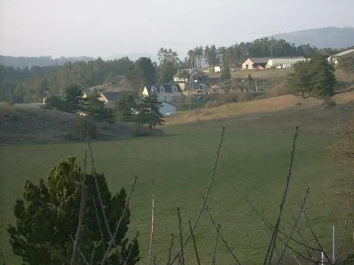 Chez Louis