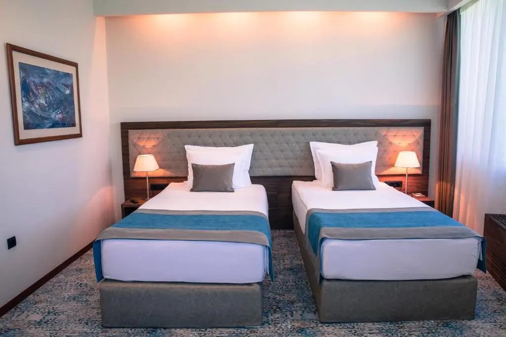 Classic Double room (twin beds)