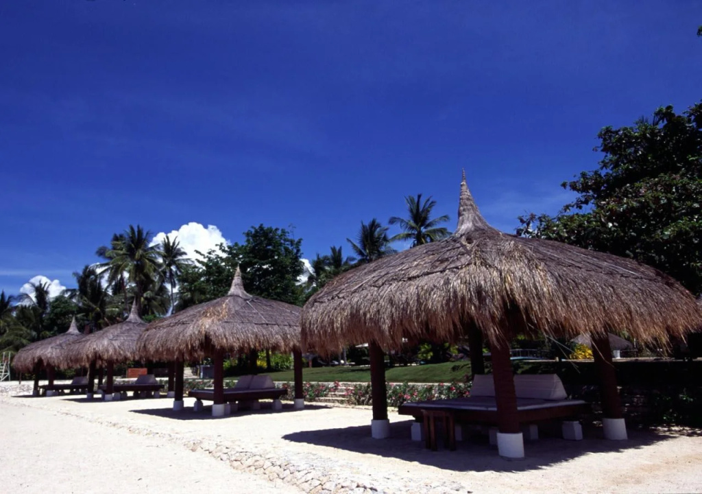Pulchra - Philippines - Général