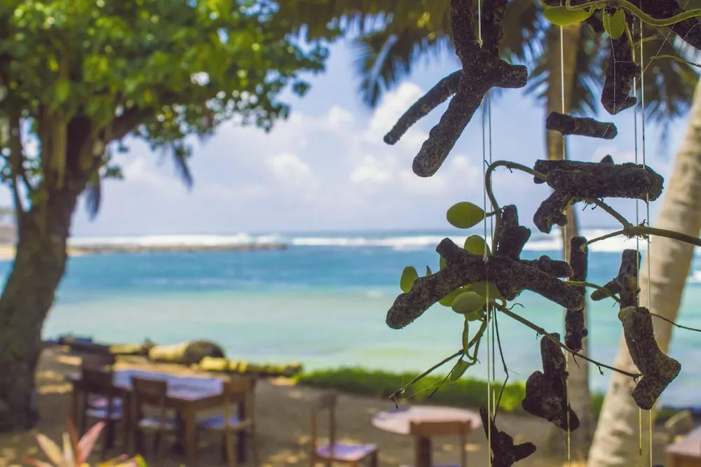 Beach & Waterfront