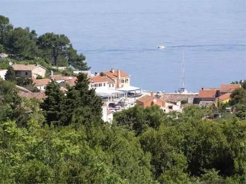 Apartment in Veli Losinj 33734