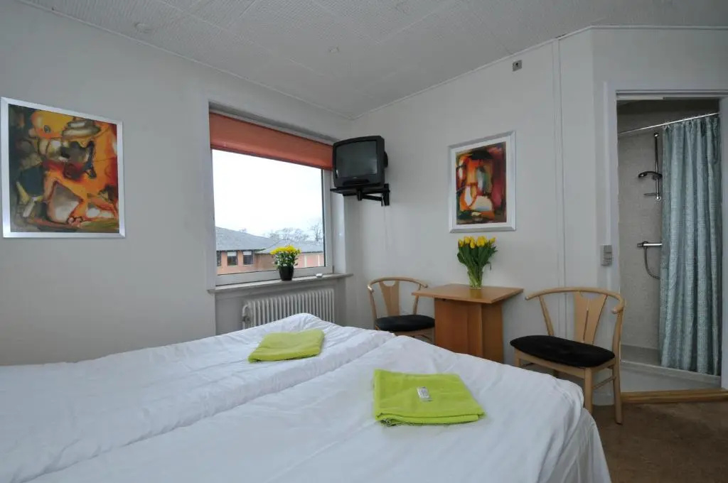 Standard Double room (twin beds)