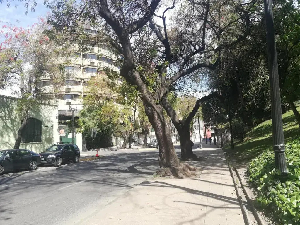 Hotel Montecarlo Santiago - Général