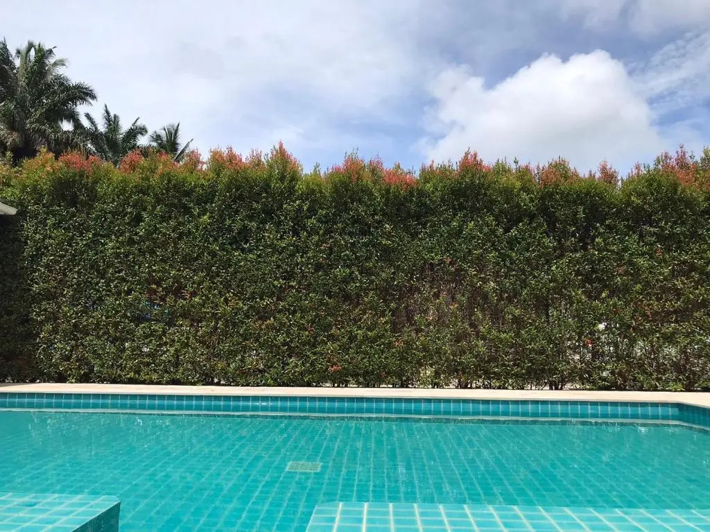 Villa Baan Anna Pool and Spa - Chambres