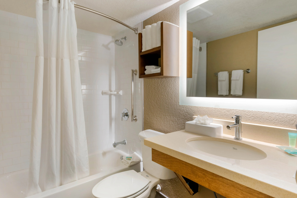 Staybridge Suites Orlando Royale Parc Suites by IHG - Général