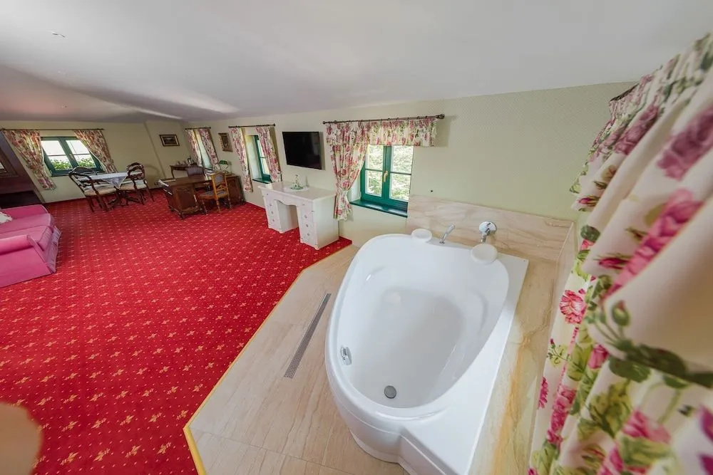 Boutique Hotel Pri Mlyne - Général