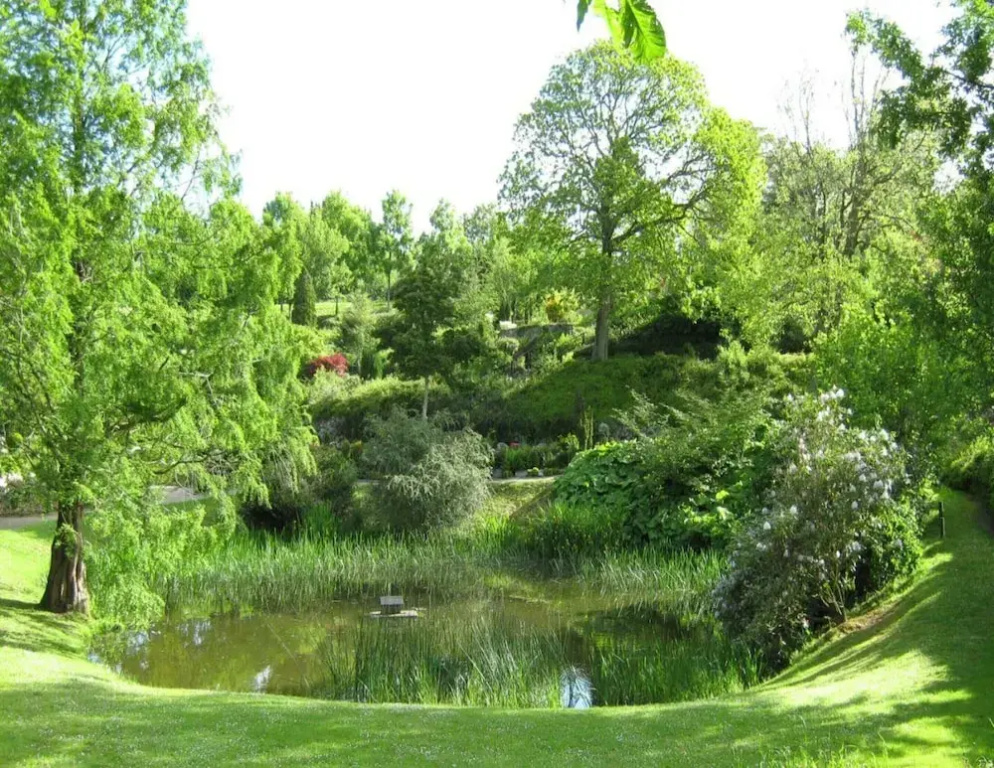 6 Person Holiday Home in Hjorring