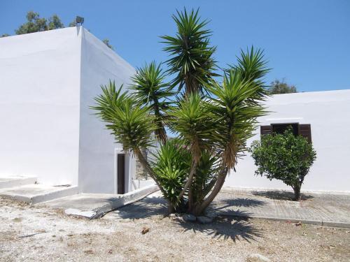 Alkionides Bungalows 3 *