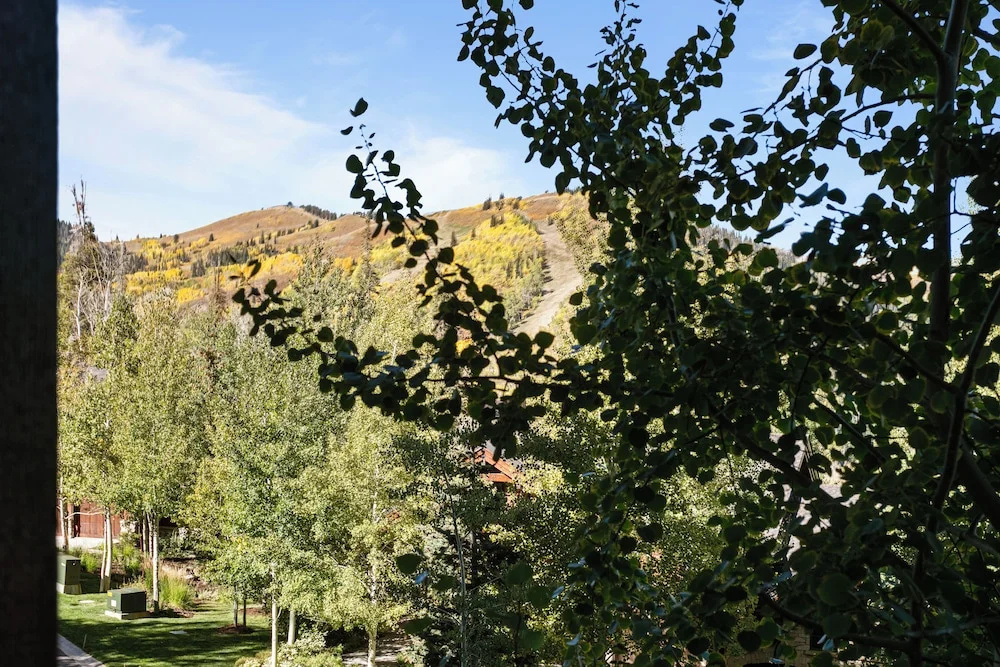 Ski In/ski Out Mid-mountain Getaway 2 Bedroom Condo