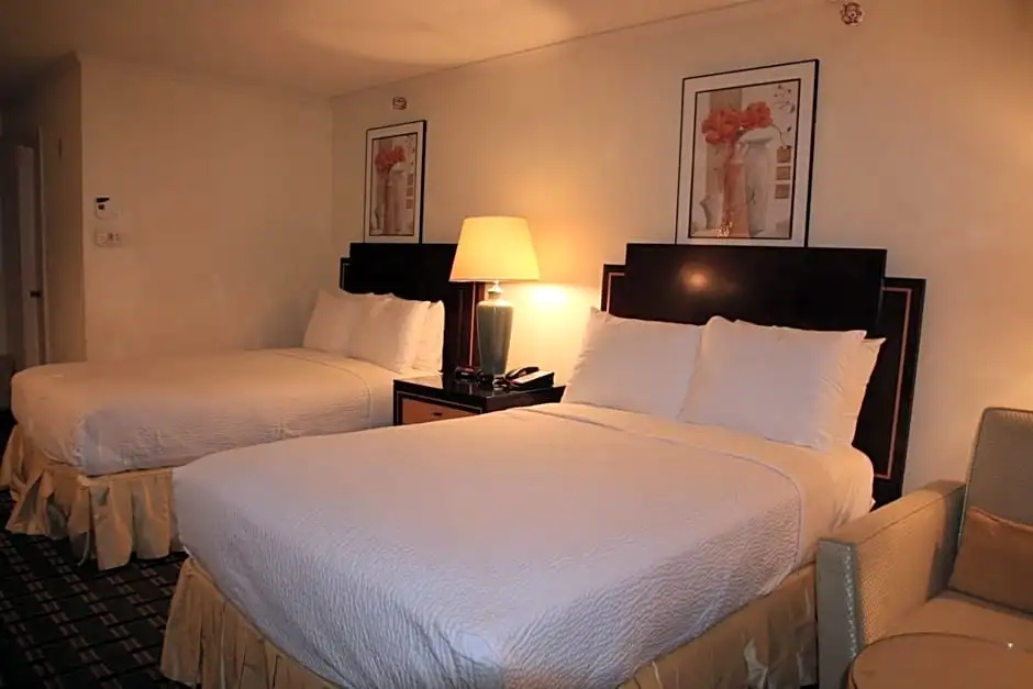 Bedford Plaza Hotel - Boston - Chambres