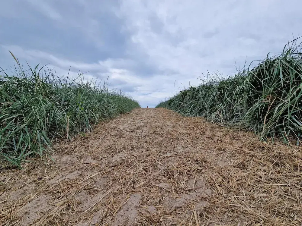 6 Person Holiday Home in Blavand