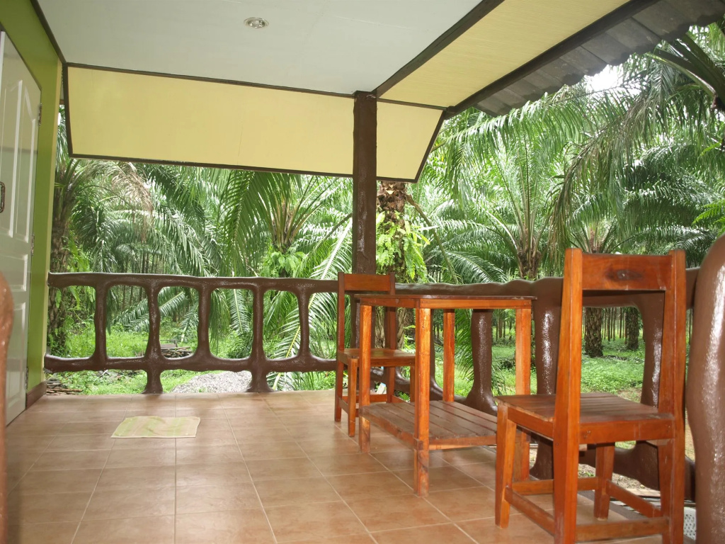 Balcony & Terrace