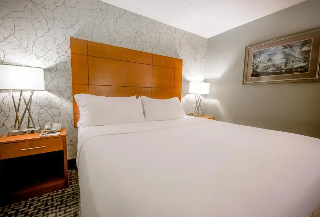 Holiday Inn Raleigh Downtown - Chambres