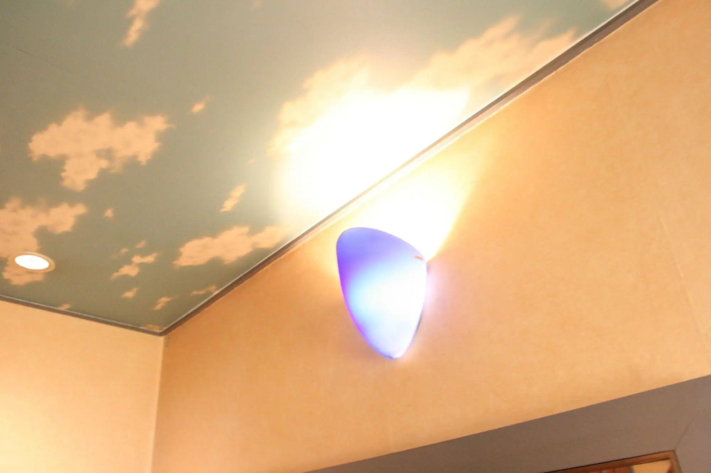 Hotel TROPICAL OSAKA - Adults Only 사진 18