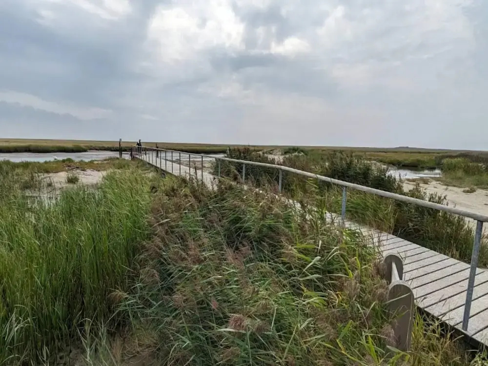 Traditional Holiday Home in Jutland near Sea