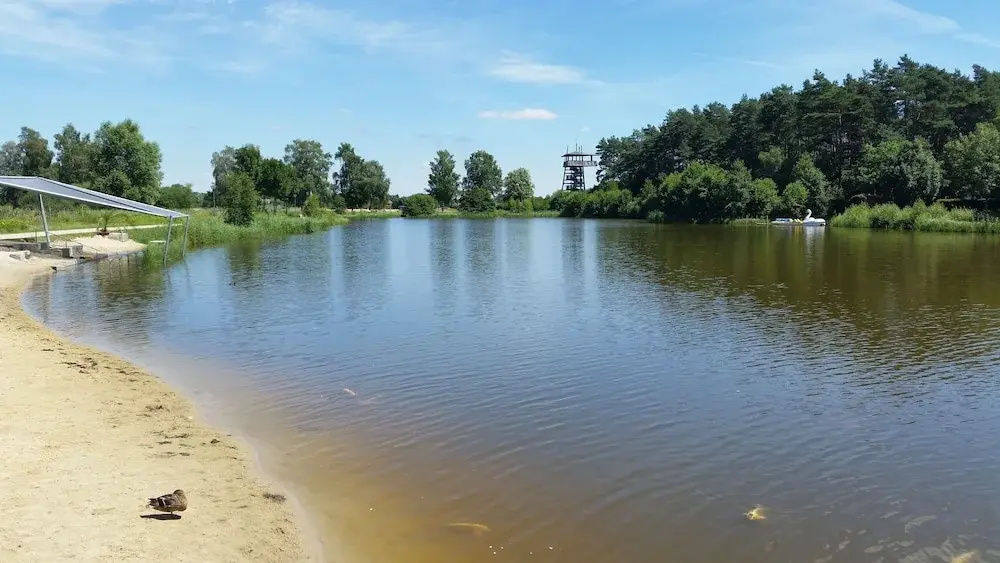 Beach & Waterfront