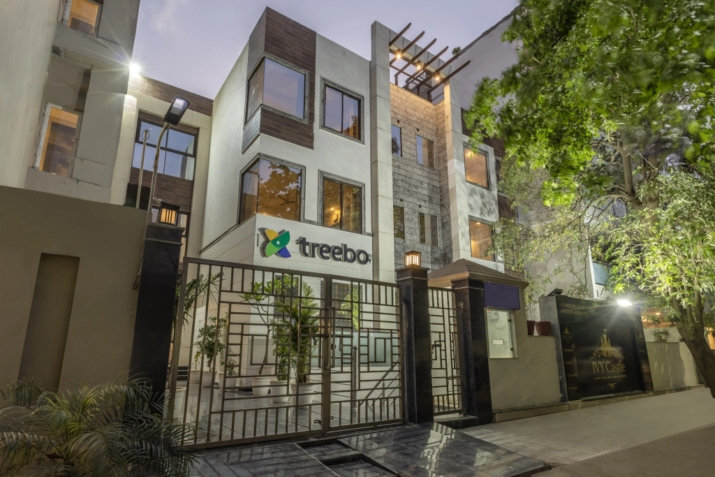 Treebo Trend Coral Tree