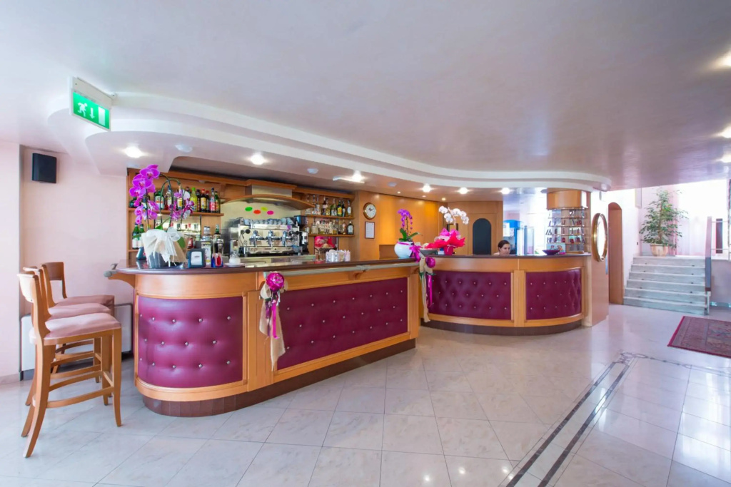 Hotel Faber - Général