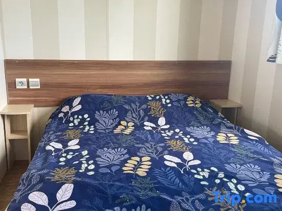 Mobilhome close to the pool - Cc110 Siblu Les Charmettes