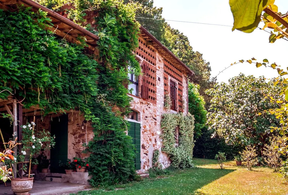 Piaggine