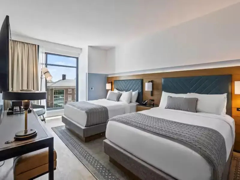 Standard Quadruple room with view
