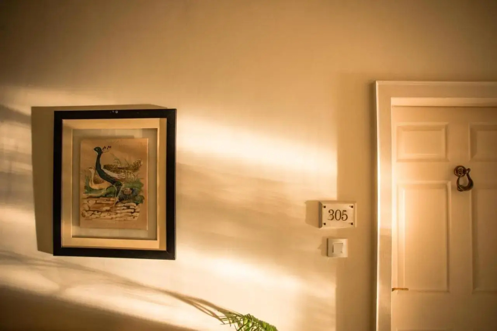 Hotel photo 25