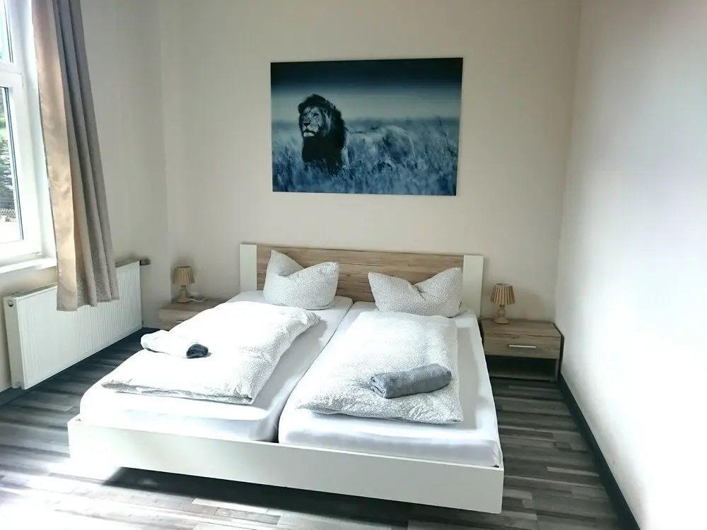 Comfort Double room (full double bed)