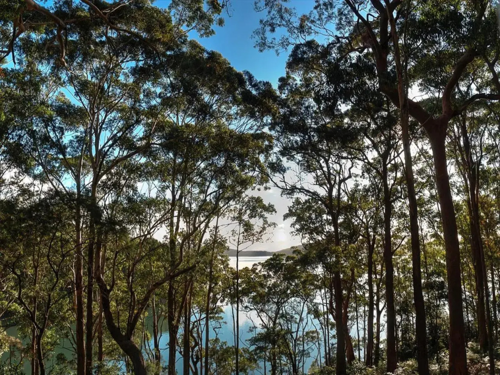 Aqua Vista