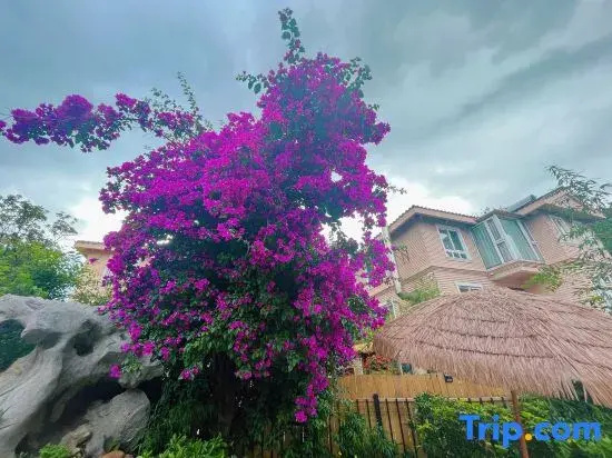 Ouqiyuan Homestay (Dianchi Lake Haigeng Dam)