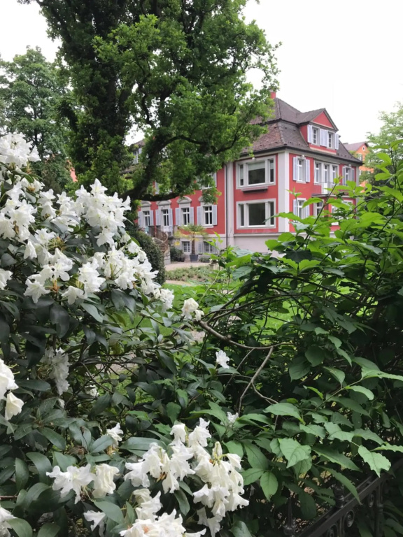 Hotel photo 35