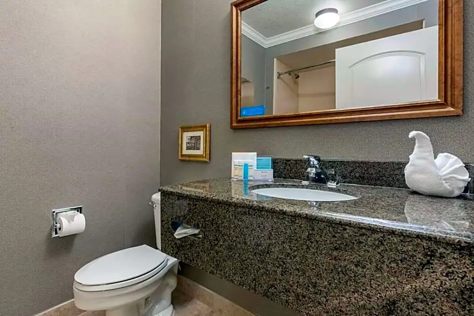 Standard room with view