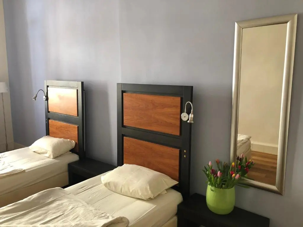 Standard Double room with city view (twin beds)