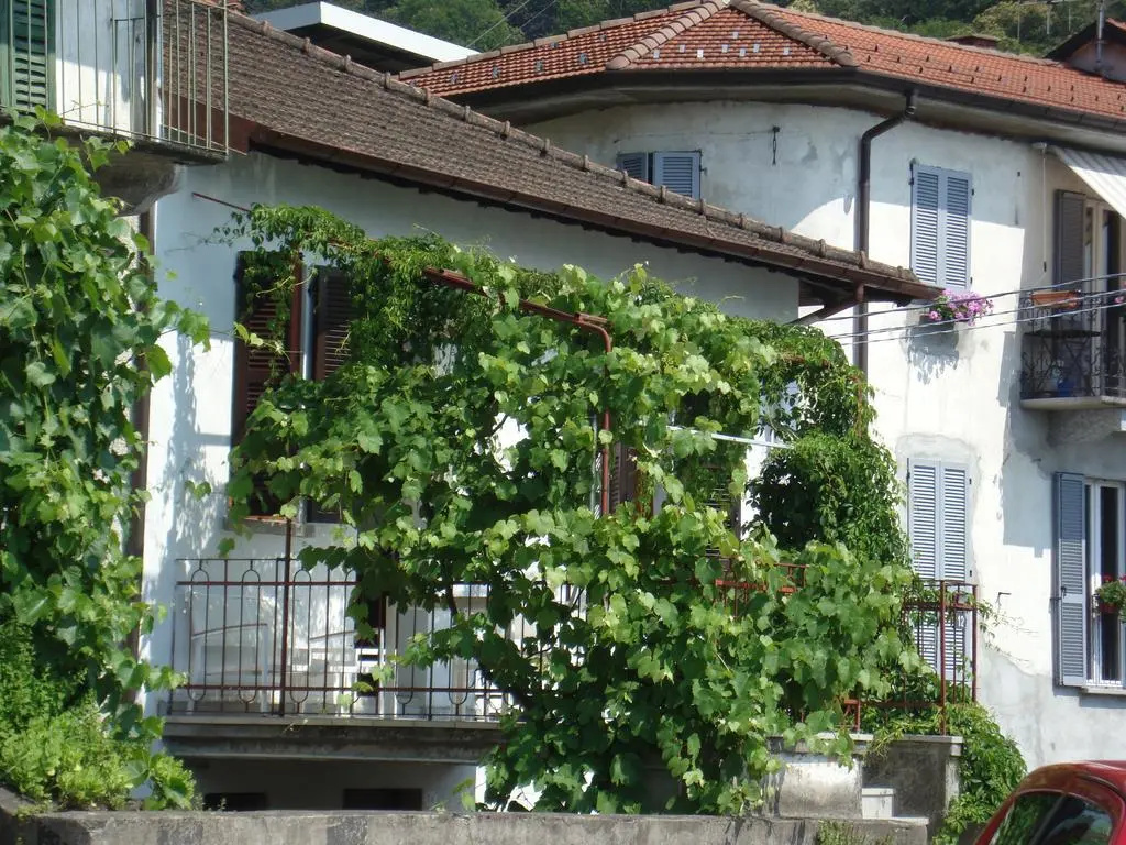 La Vigna