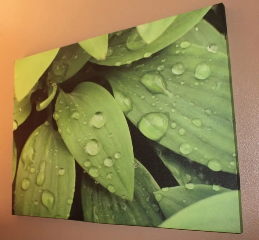 Bohemia Resort Cairns - Chambres