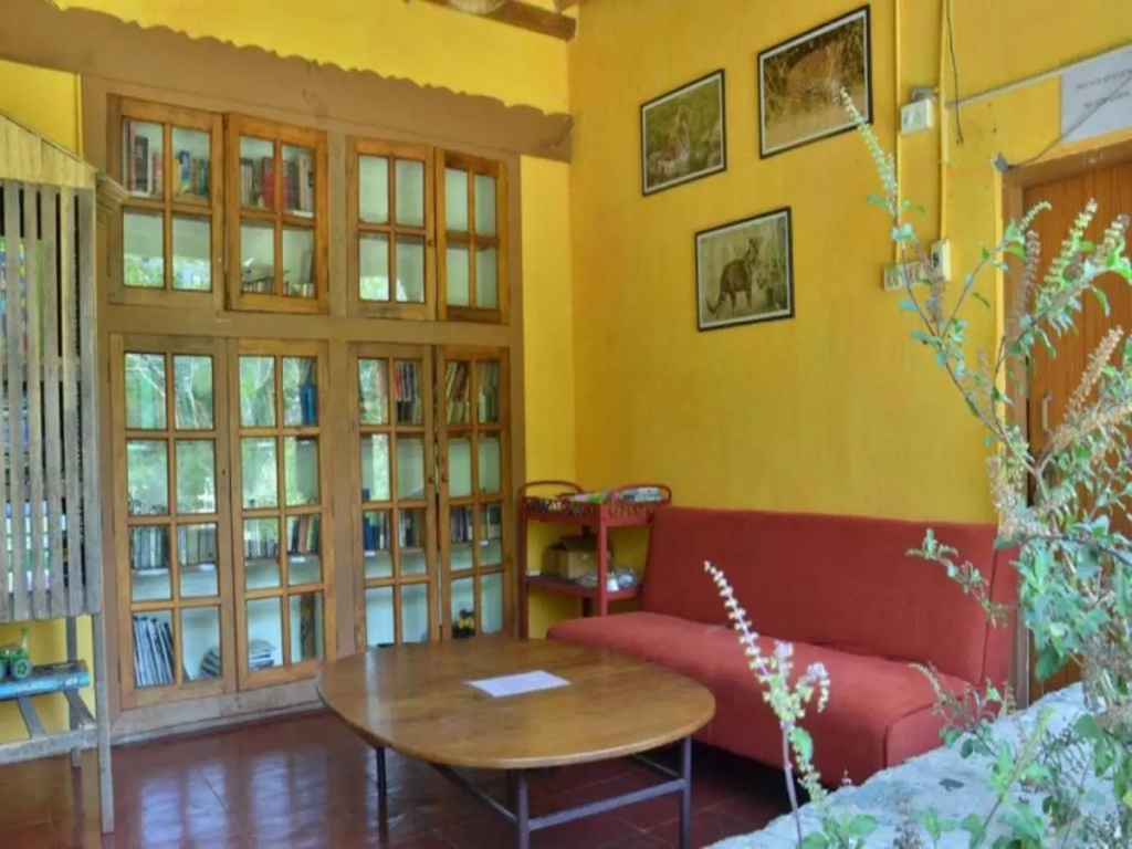 Jungle Hut Resorts - Général