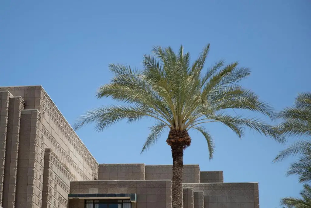 Arizona Biltmore, LXR Hotels & Resorts - Chambres