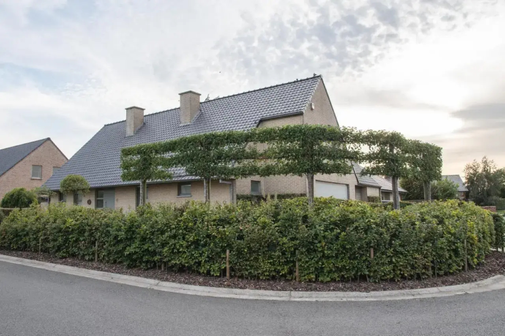 Villa Westhoek - фото 12
