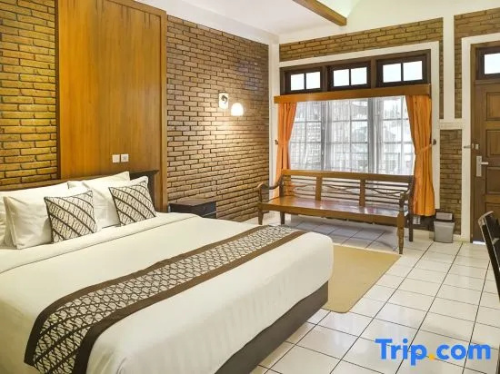 Deluxe Double room with balcony and with garden view (full double bed)