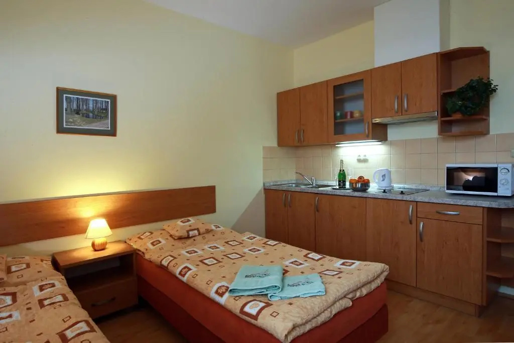 Wellness Penzion Pod Rozhlednou - Chambres