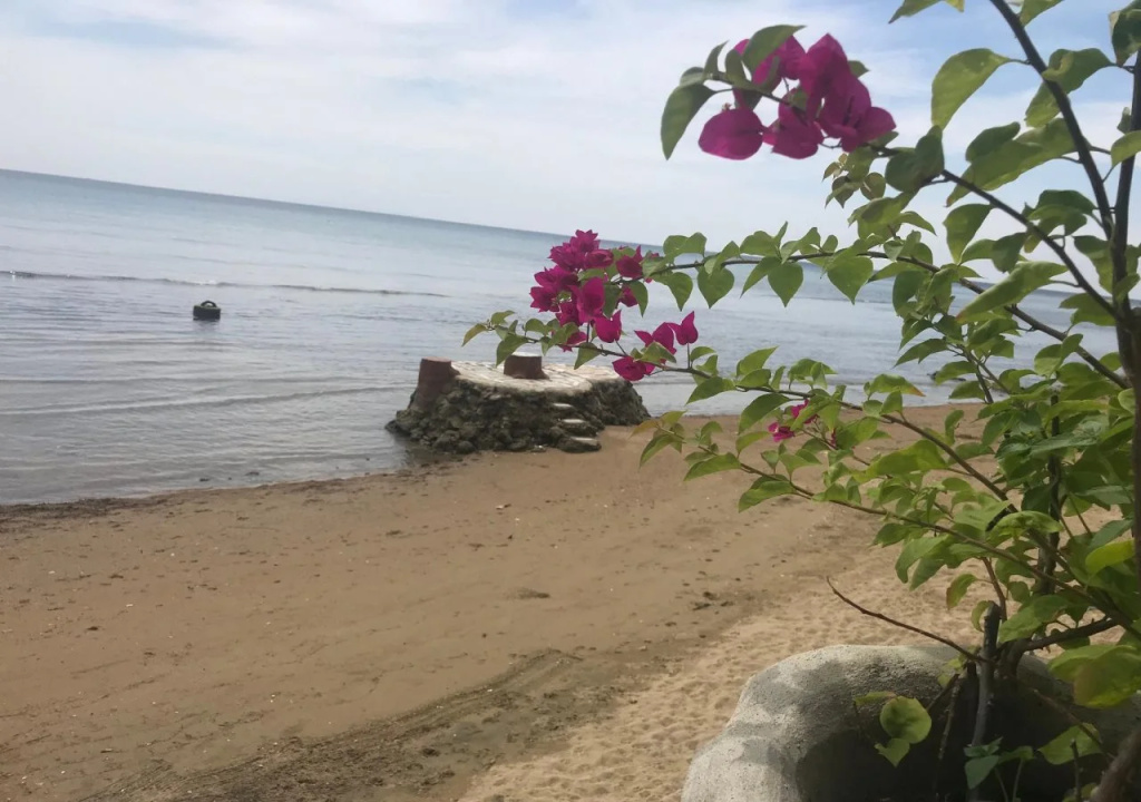 Beach & Waterfront