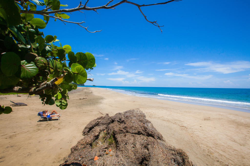 Beach & Waterfront