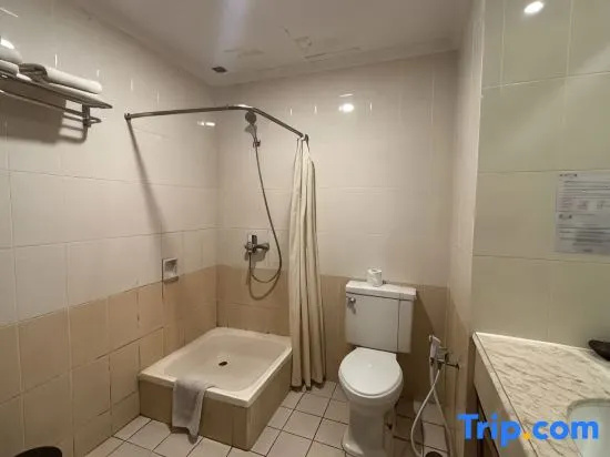 Grand Elty Singgasana Hotel - Chambres
