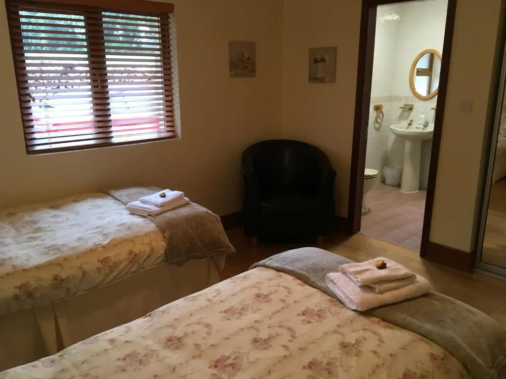 Standard Double room (twin beds)