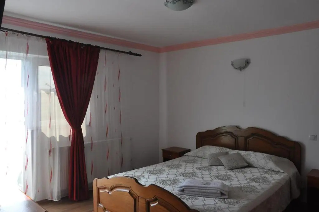 Standard Double room with mountain view (full double bed)
