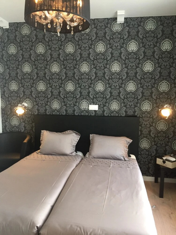 Comfort Double Basement room (twin beds)