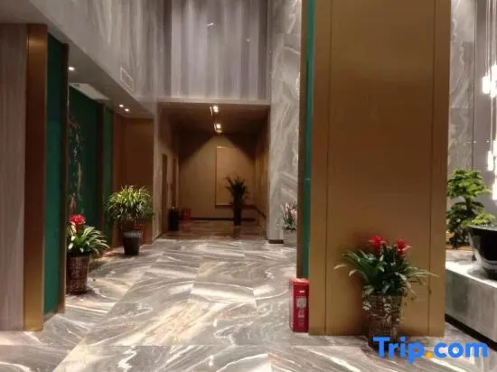 Spa & Wellness