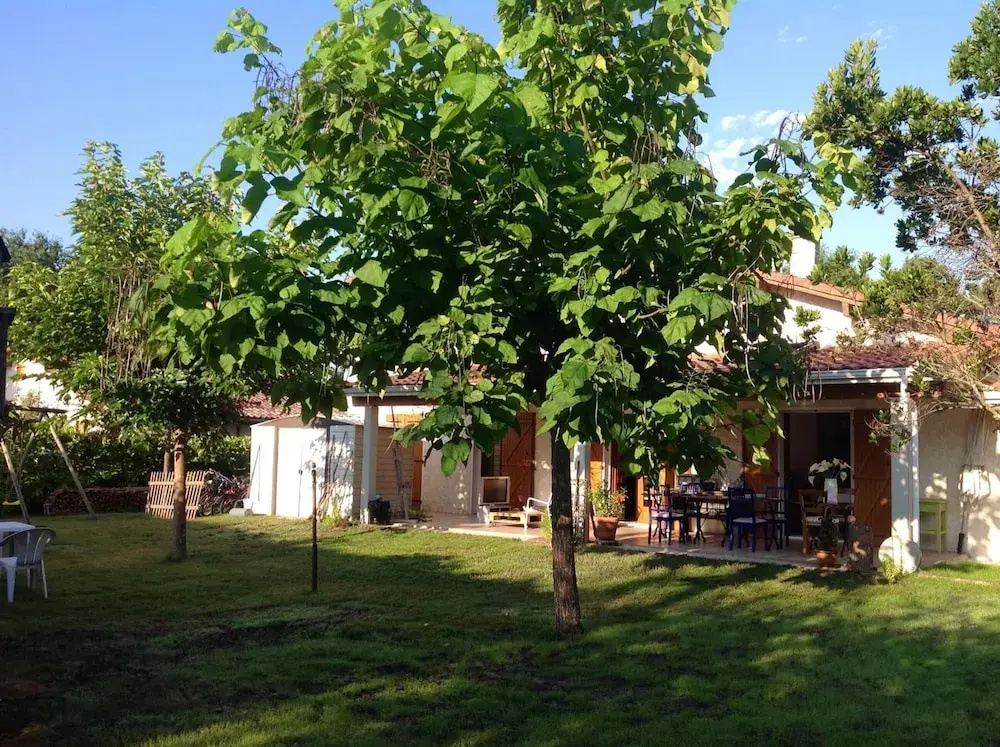 Les Arums De Sanguinet