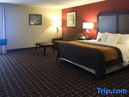 Quality Inn Edmund Pettus Bridge Area - Chambres