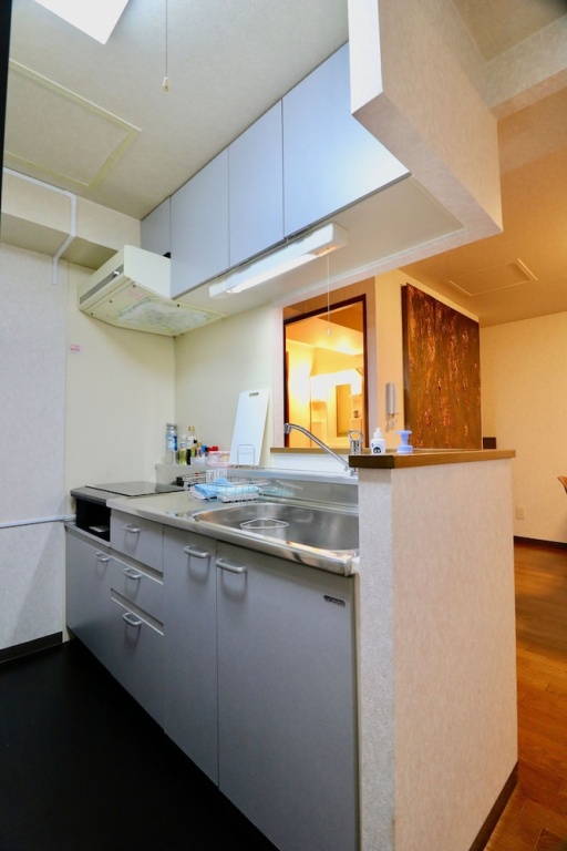 Sepia yamanote room202 사진 18