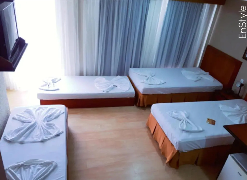 Geneviee Palace Hotel - Chambres